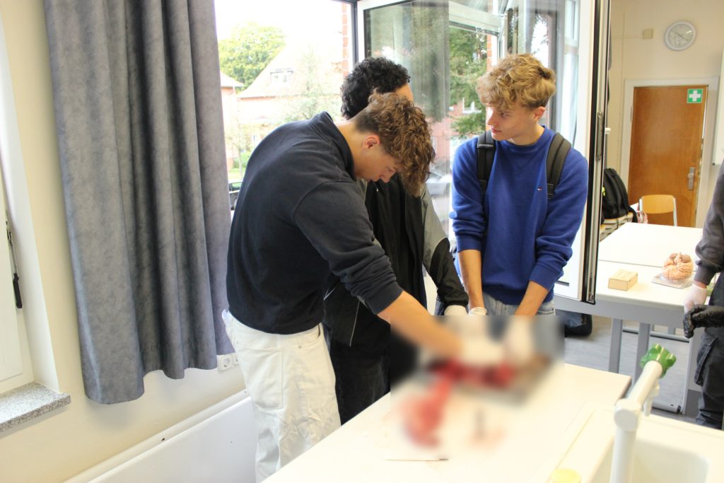 IMG_1883-b IMG 1883 b Tag der offenen Tür mit Berufsinformationsforum