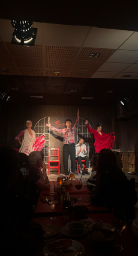 Bild3 Zwei Wochen Madrid – Kaufmann international