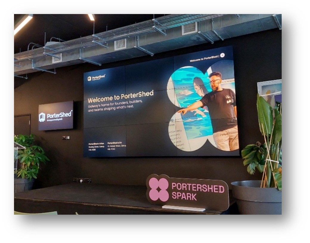 Corporate Insight Activity 2: "PorterShed"